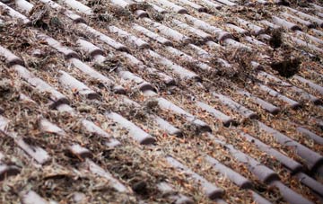 Downhead roof cleaning companies